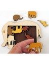 Animal Arrangements
