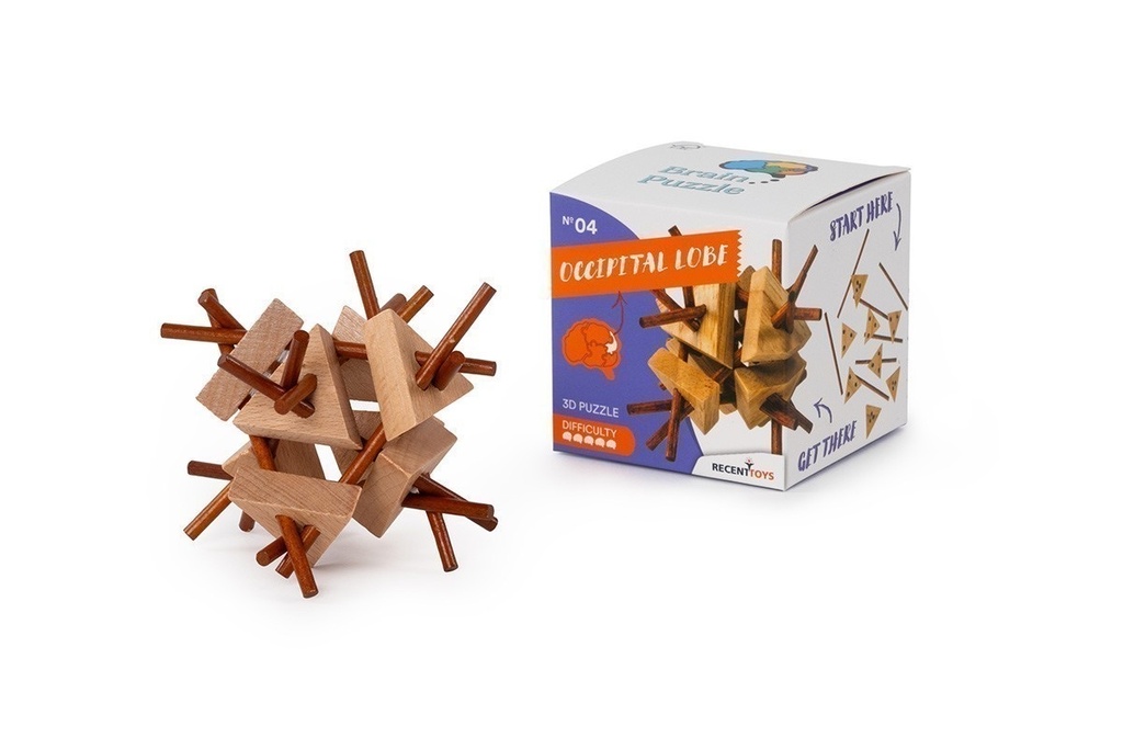 Brain Puzzle #4