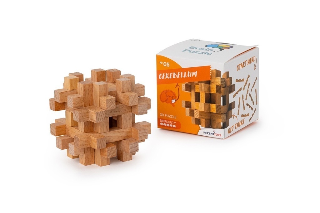 Brain Puzzle #5