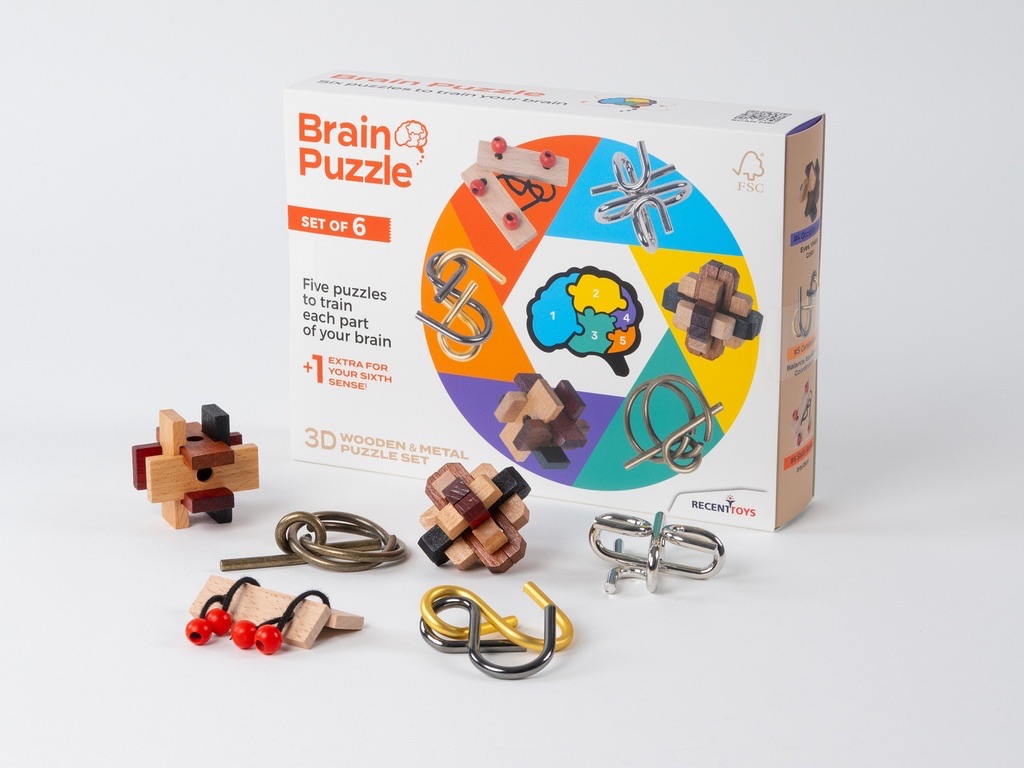 Brain Puzzle set of 6