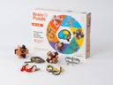Brain Puzzle set of 6
