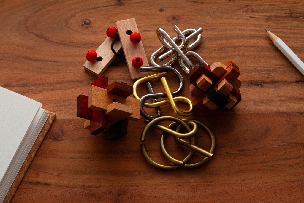 Brain Puzzle set of 6