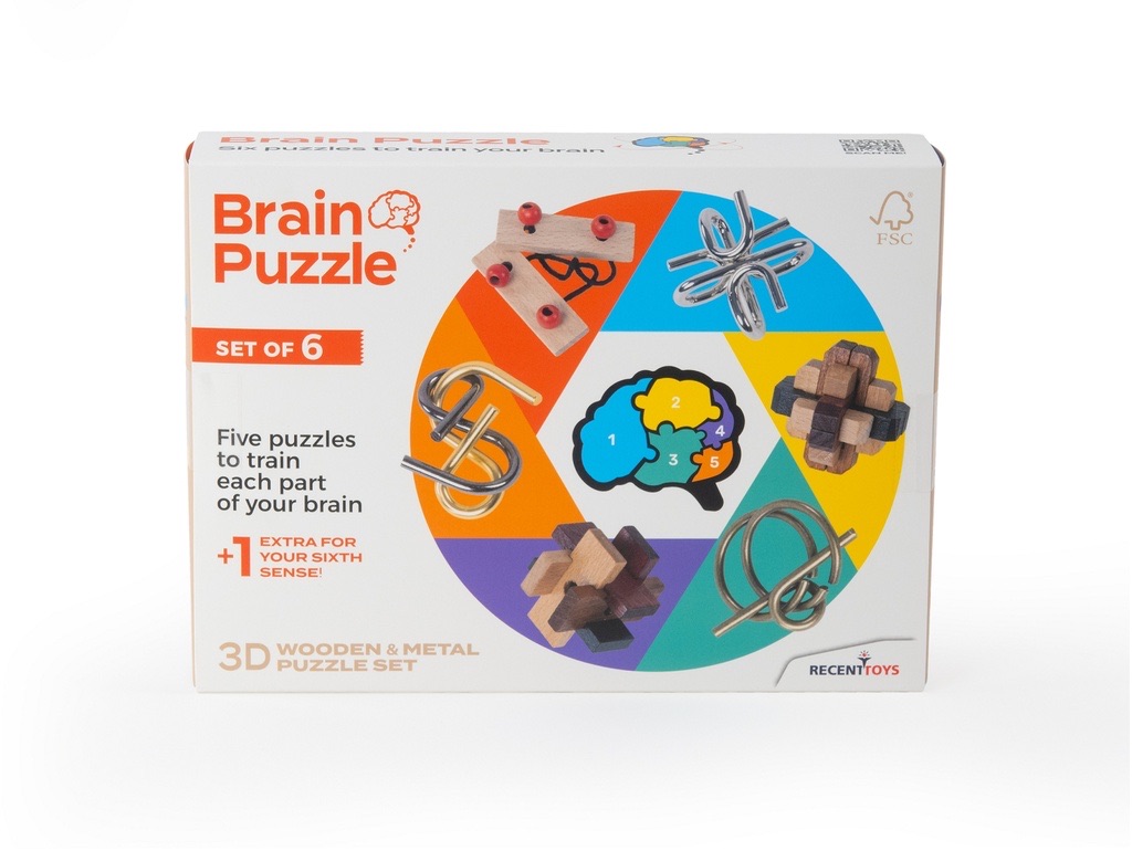 Brain Puzzle set of 6