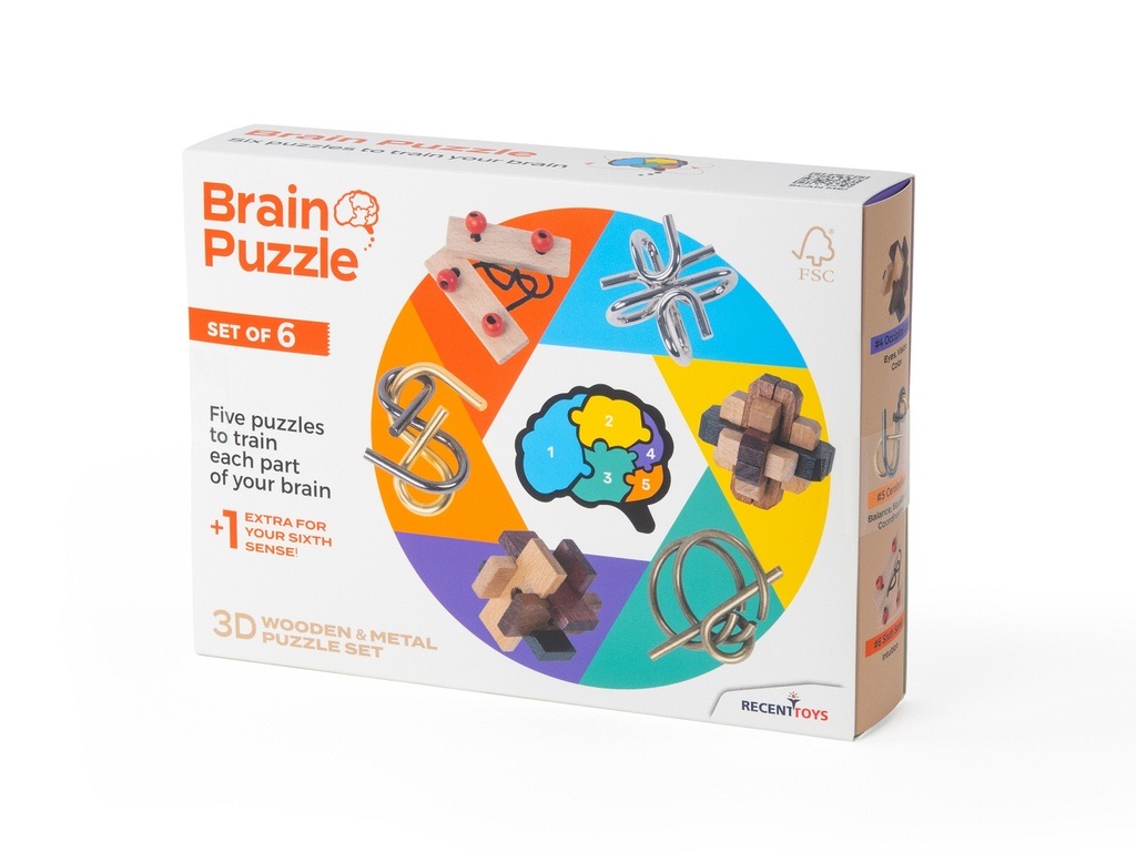Brain Puzzle set of 6