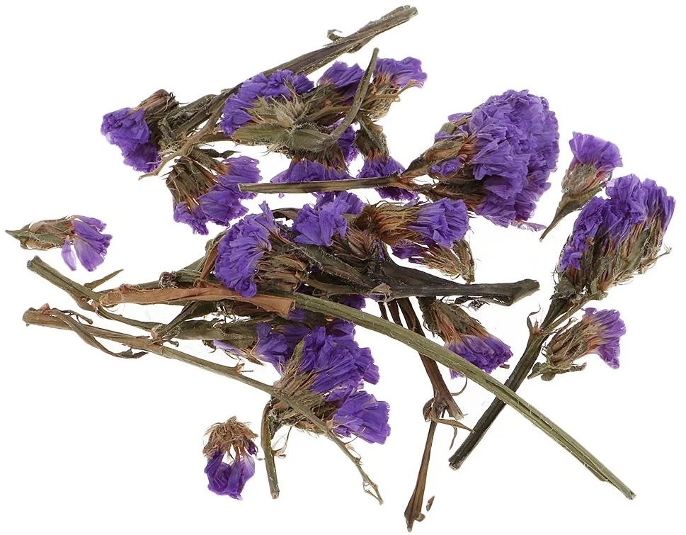 Flower Dried Purple Color