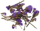 Flower Dried Purple Color