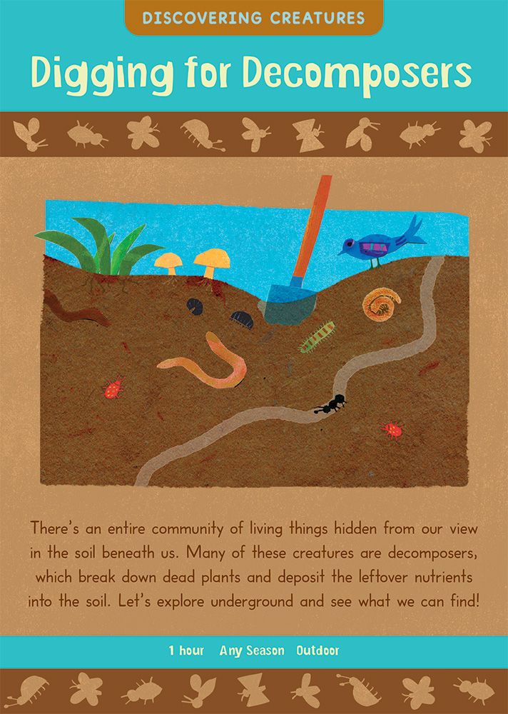 Kids' Garden
