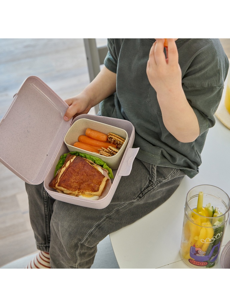 Candy L Trucks Lunch Box With Separation Bowl