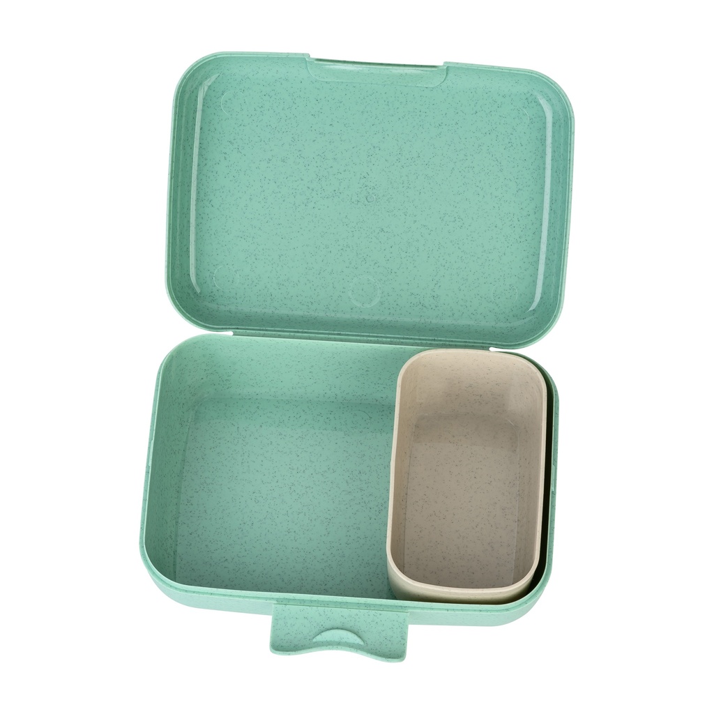 Candy L Rex Lunch Box With Separation Bowl