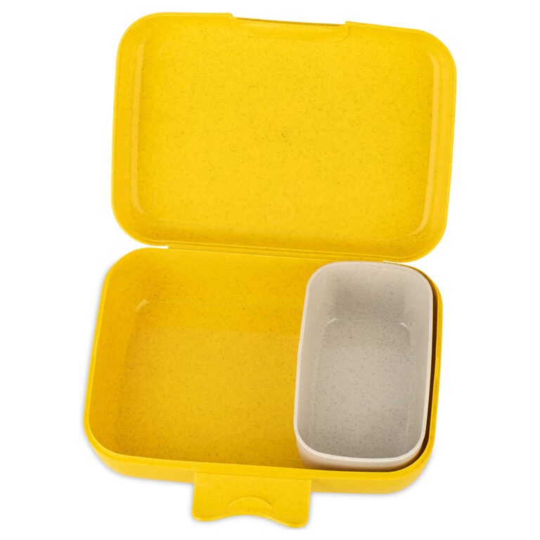 Candy L Africa Lunch Box With Separation Bowl