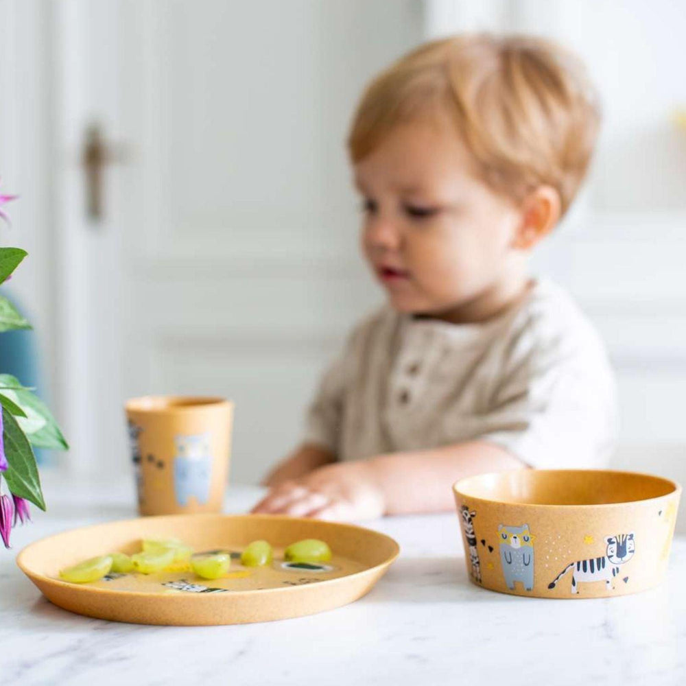 Connect Zoo Small Plate + Bowl + Cup
