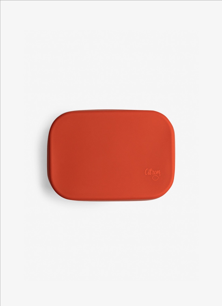 Citron Mini Stainless Steel Snackbox Brick