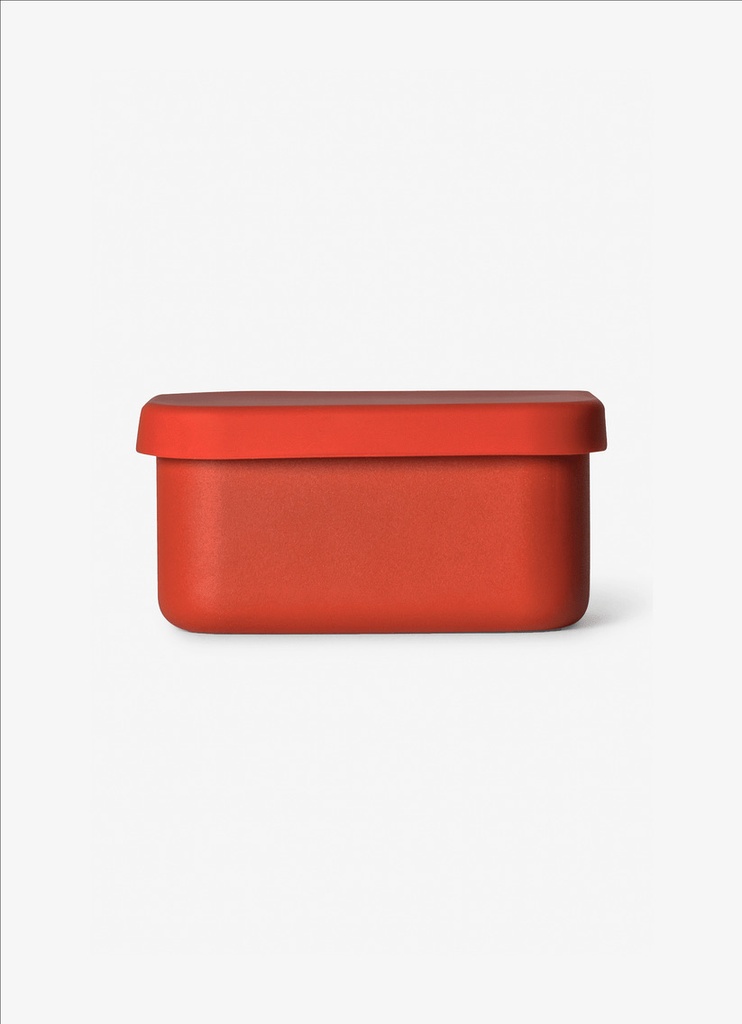 Citron Mini Stainless Steel Snackbox Brick