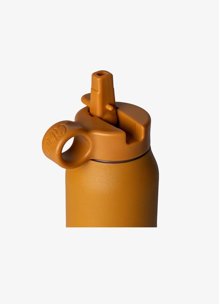 Citron Stainless Steel Water Bottle 350Ml Caramel