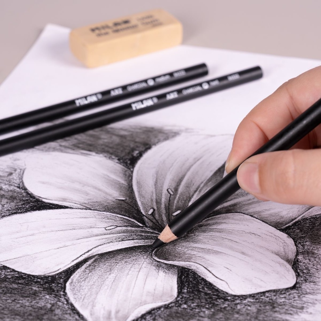 Blister Carton 3 Charcoals Pencils