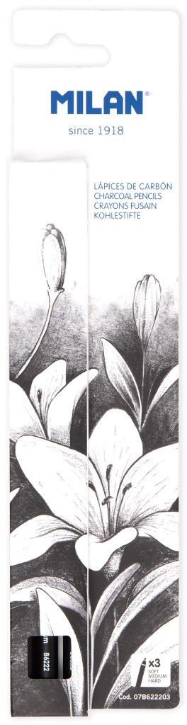 Blister Carton 3 Charcoals Pencils