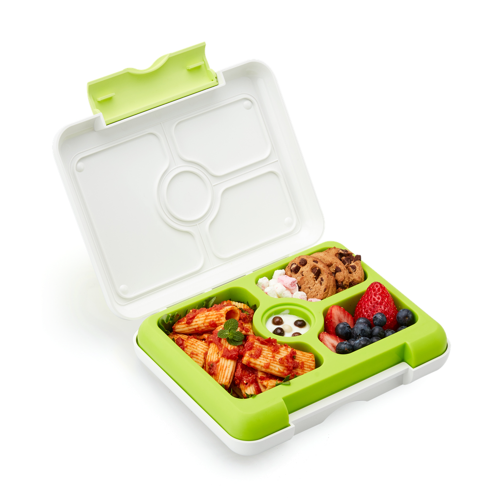 Flex Box Dino - Green 