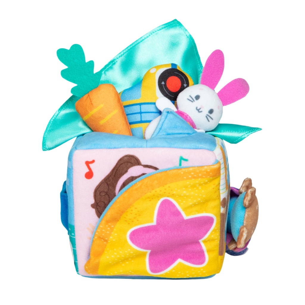 Suprise Learning Box