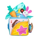 Suprise Learning Box