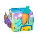 Suprise Learning Box