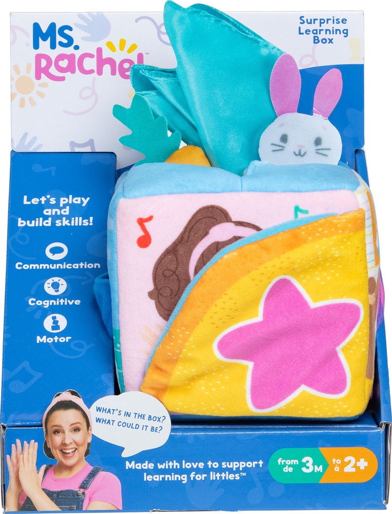 Suprise Learning Box