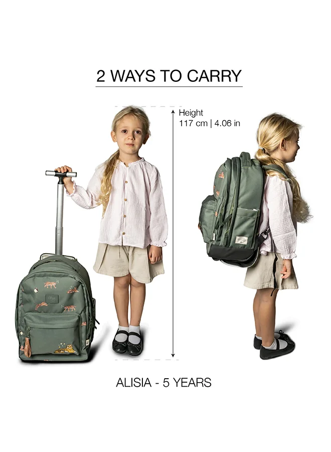 Trolley Bag-C6290361061244