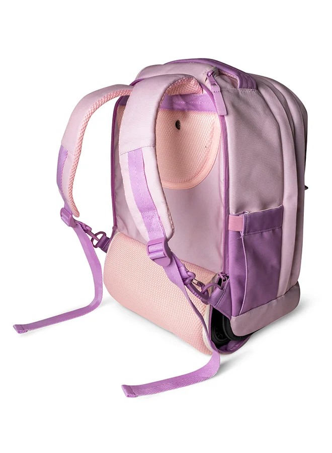 Trolley Bag-C6290361061237