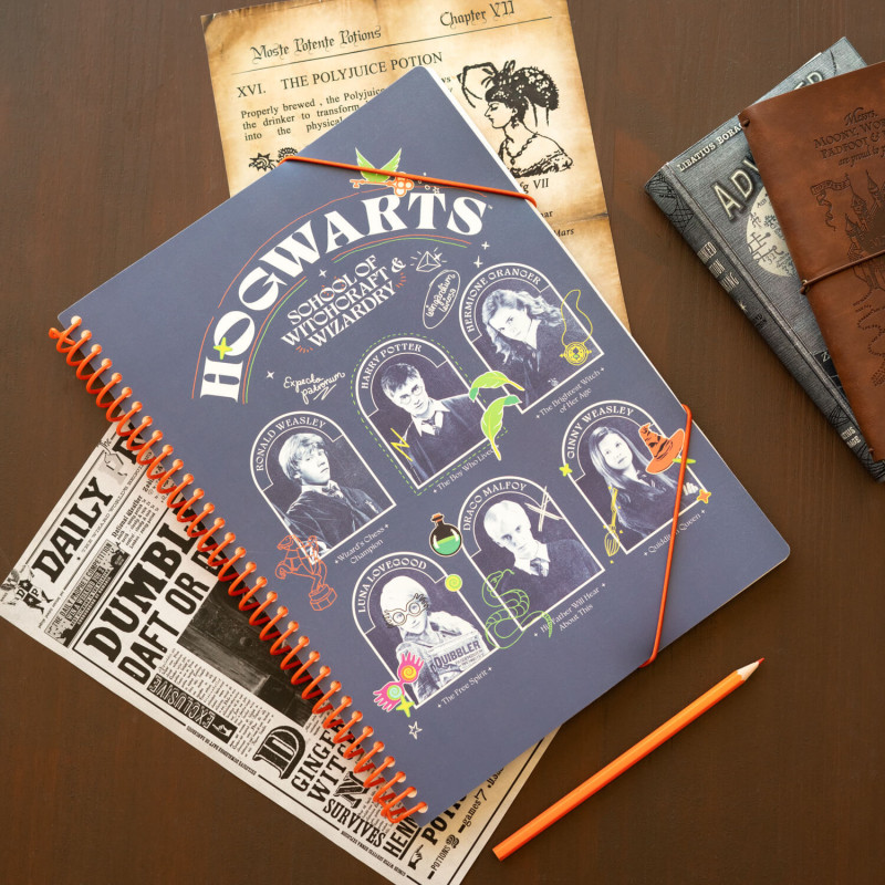 Harry Potter A4 Presentation Display Book