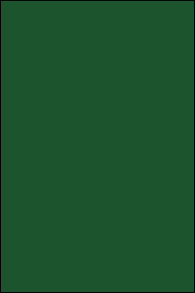 Adehsive Roll Plain Mat 45Cmx2M Hntr Green