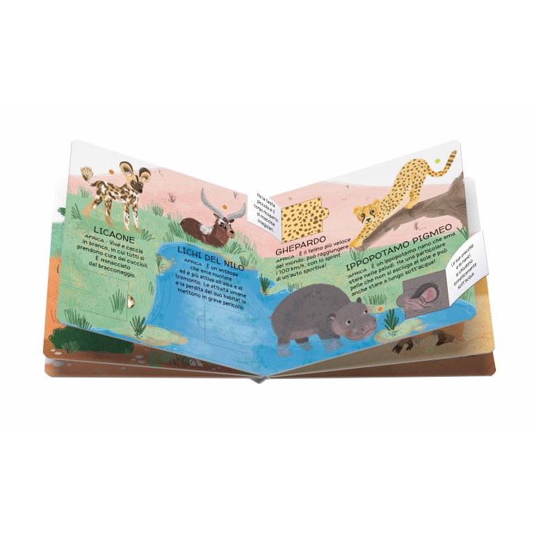 Memory - Animals To Save - Deserts And Savannahs