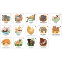 Memory - Animals To Save - Deserts And Savannahs
