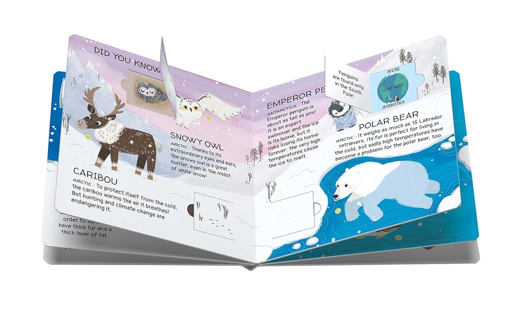 Memory - Animals To Save - Polar Ice