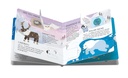 Memory - Animals To Save - Polar Ice