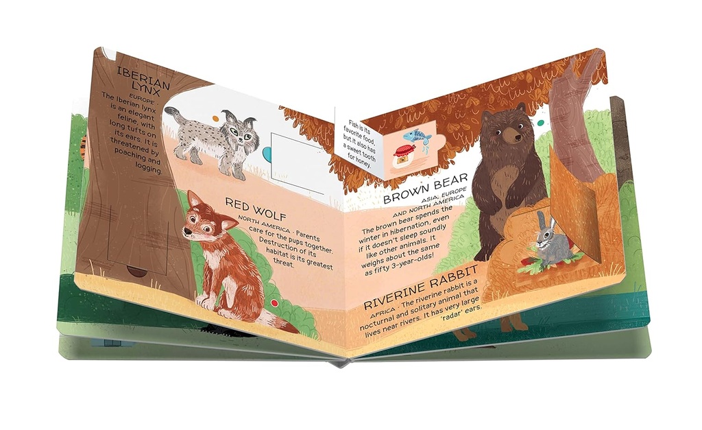 Memory - Animals To Save - The Woods