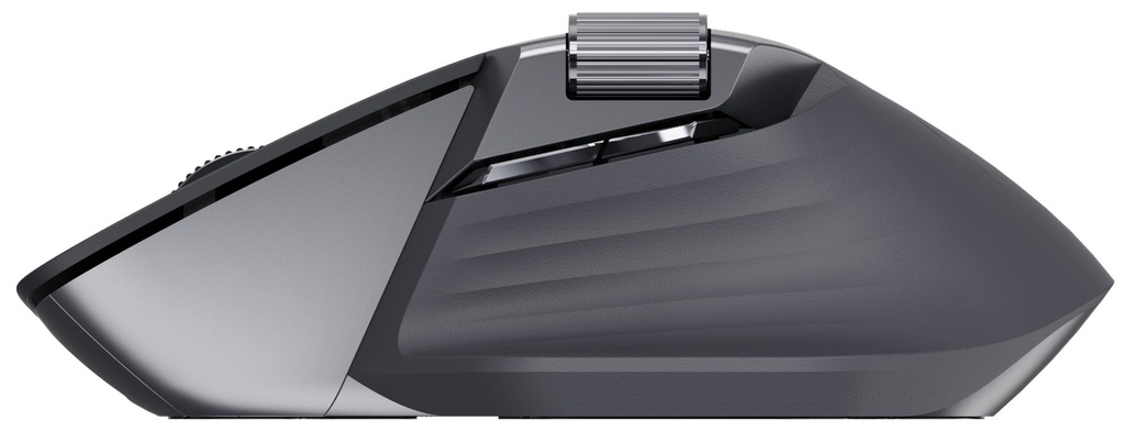 Rapoo MT760L Multi-mode Wireless Mouse Light Black