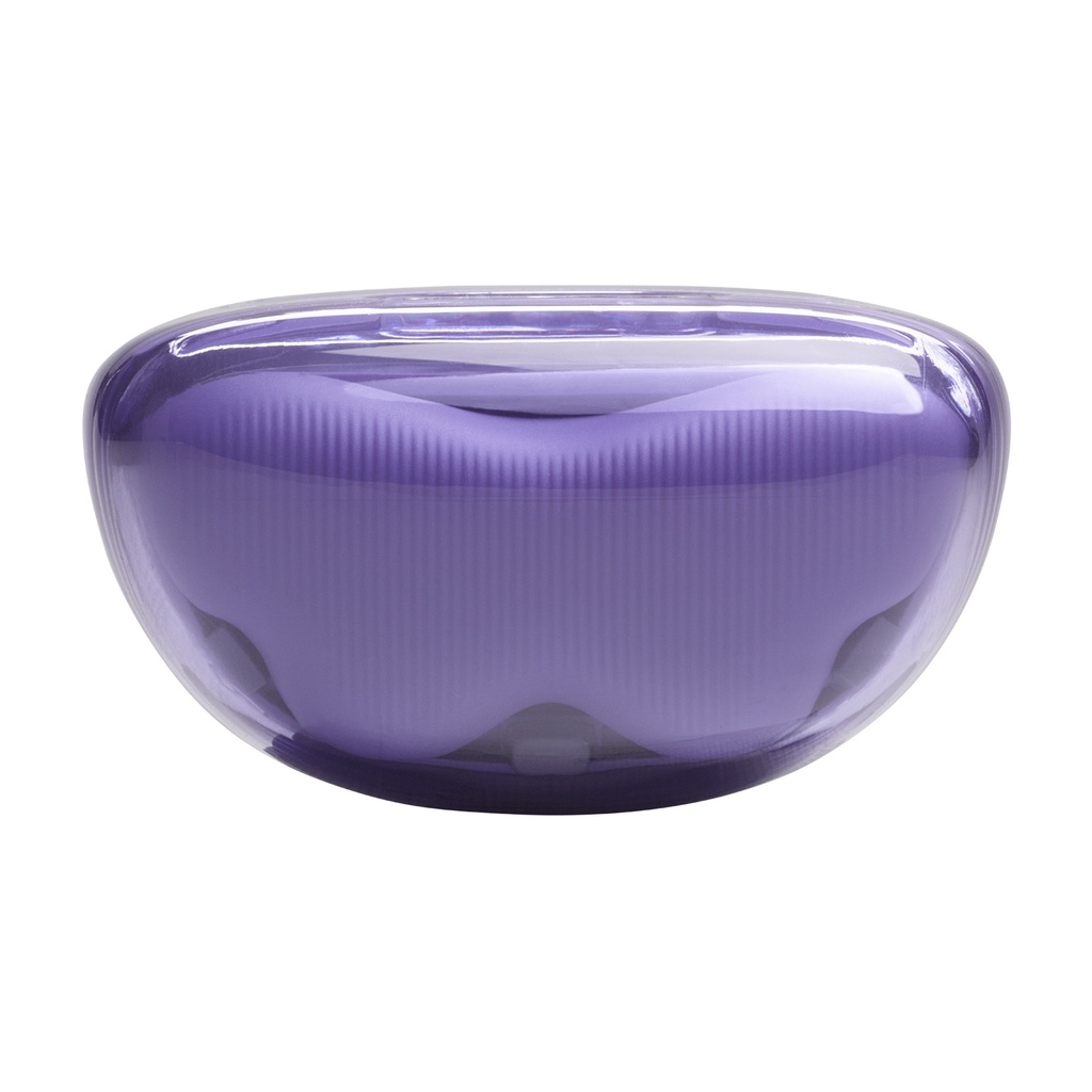 JBL Tuneflex2 Purple Ghost Edition True Wireless Noice Cancelling Earbuds |JBLtflex2Gmae