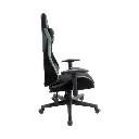 Green Lion Ergo X Gcx44 Gaming Chair,Green