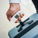 Green Lion Weight Mate Digital Luggage Scale,Gray