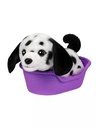 Llp Mrr S2 Puppy Mini