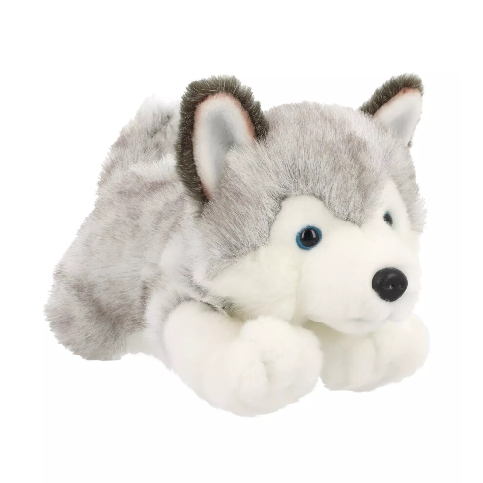 30Cm Signature Forever Puppy Husky