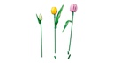 11501 Tulip Bouquet