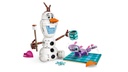 43287 Olaf and Bruni‚Äôs Picnic Fun