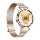 Huawei Watch Gt 6 41Mm Gold Milanese Strap