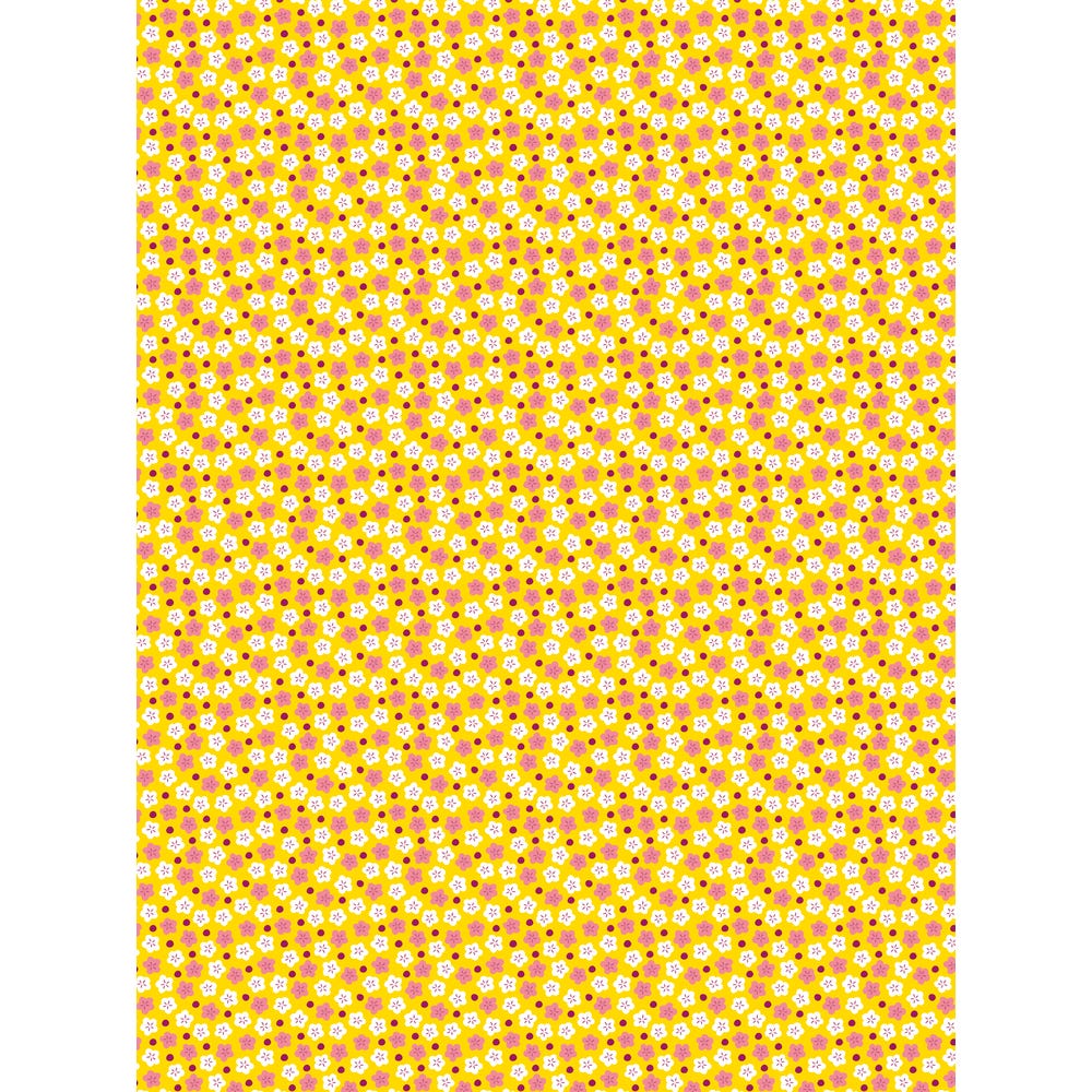 3609510350246_4.jpg