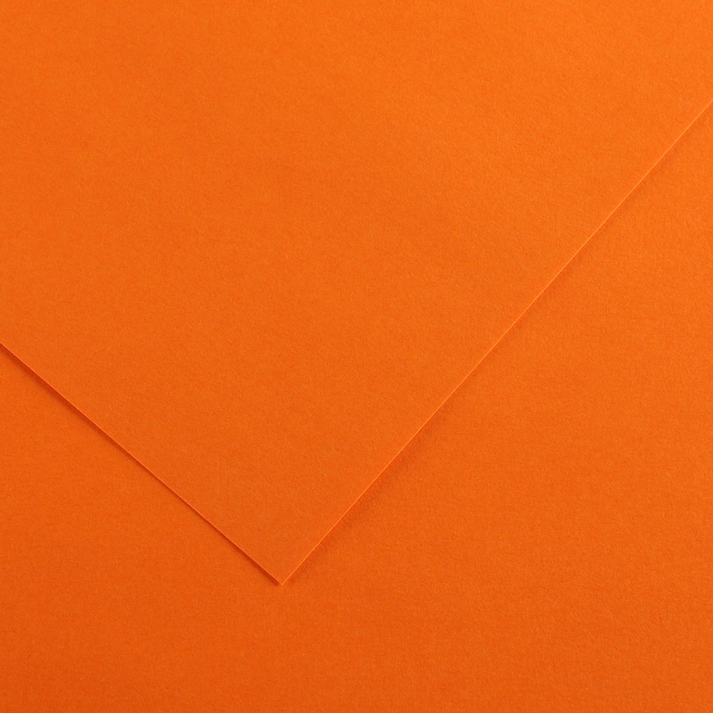3148950411426_3.jpg