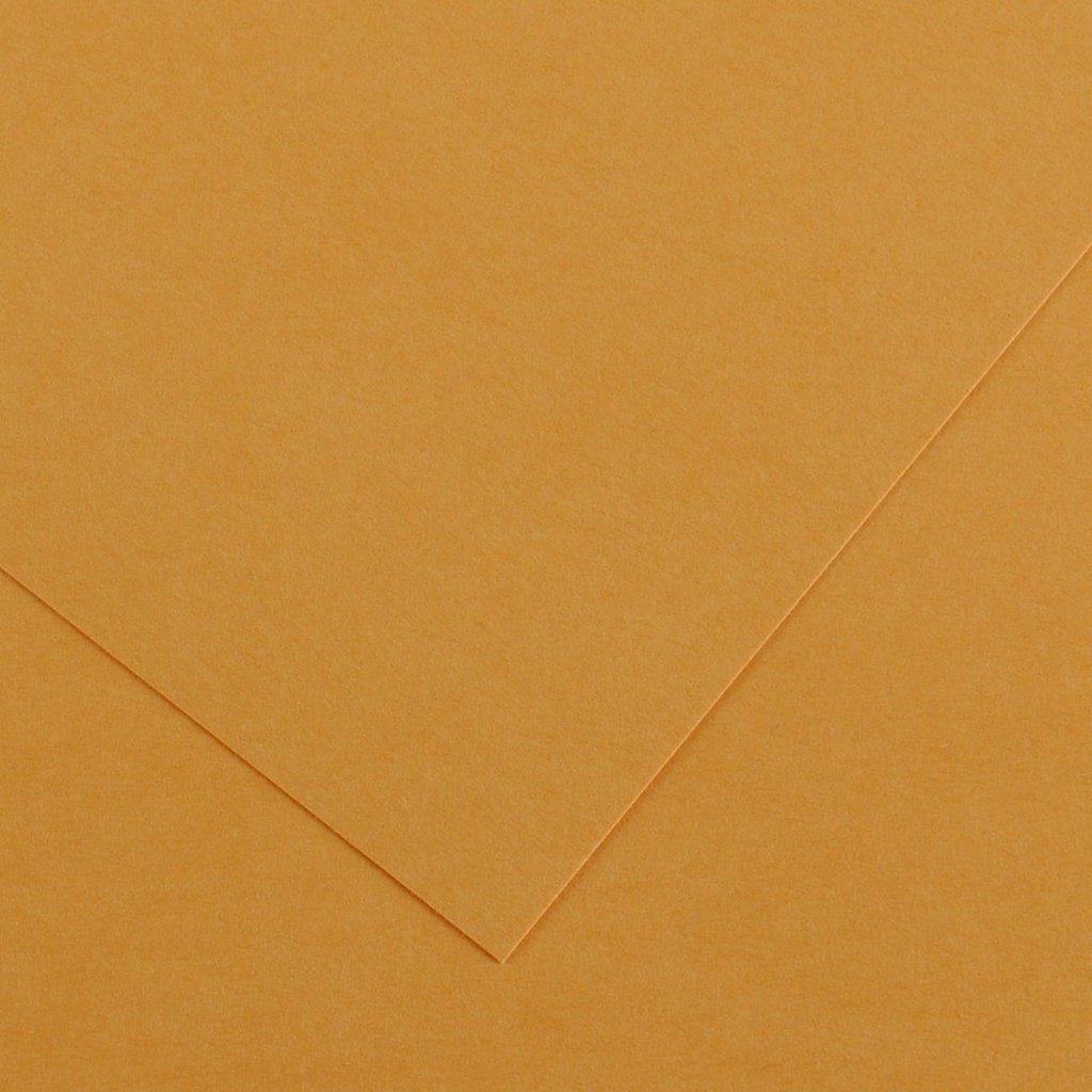 3148950412188_1.jpg