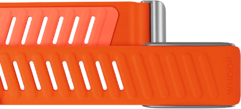 810114360521_2.png