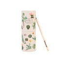 Pencils Set Kokonote Botanical Cacti Colouring
