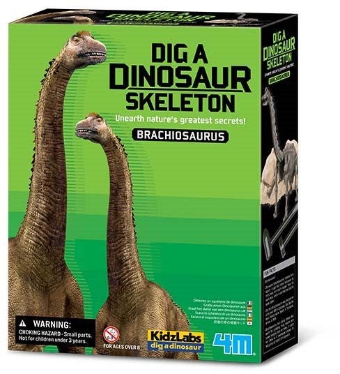 4M Brachiosaurus Skeleton Excavation 48603237