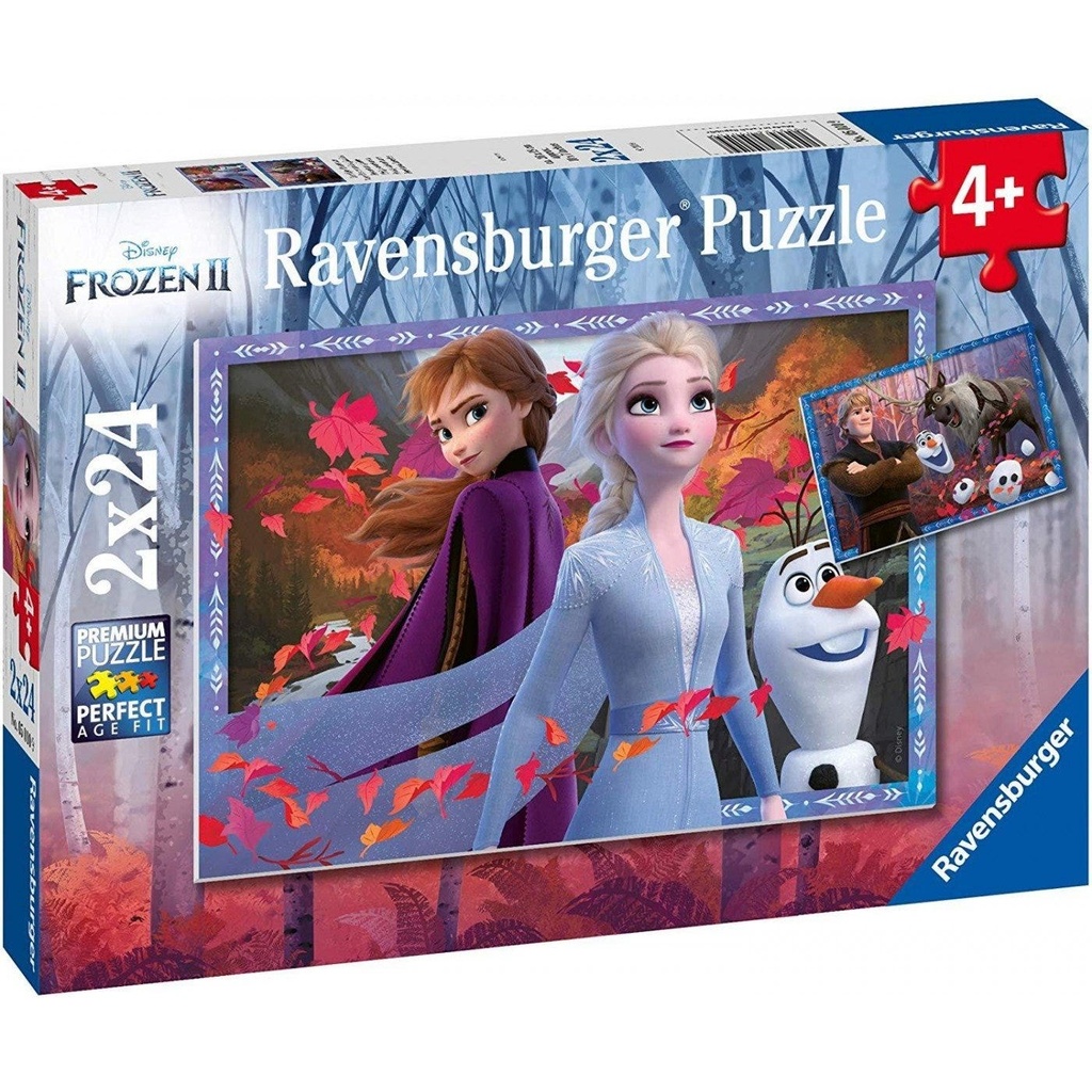 Ravensburger DFZ2: Frosty Adventures 2x24 pc